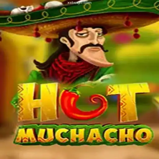 Discover the Thrills of HotMuchacho: An Exciting Dive into Brazilian Online Gaming